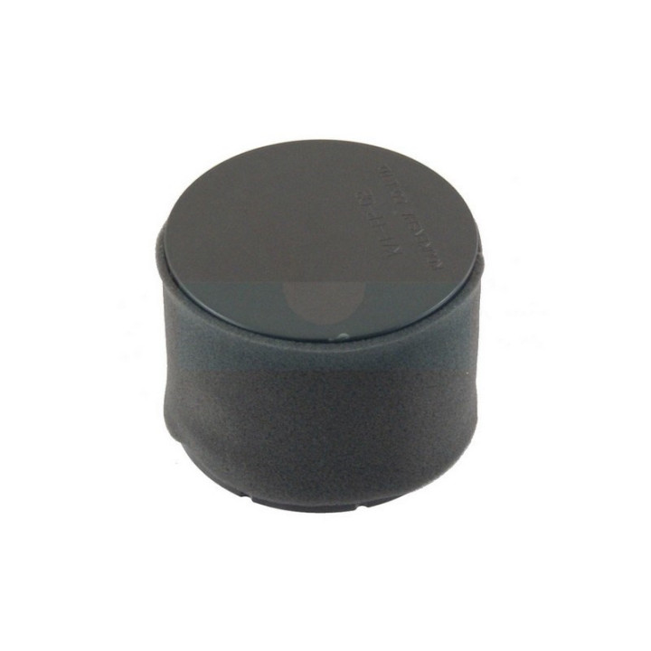 Filtre à air pour moteur Kawasaki (110290019)