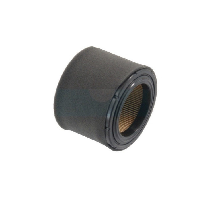 Filtre à air pour moteur Kawasaki (110290019)