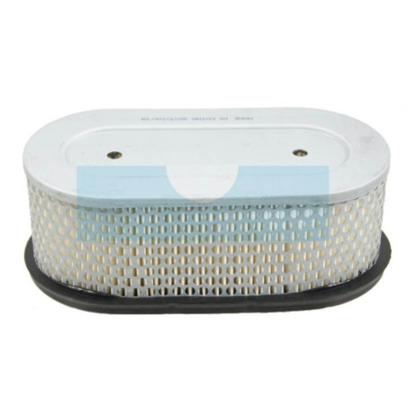 Filtre à air pour moteur Kawasaki (110132223)