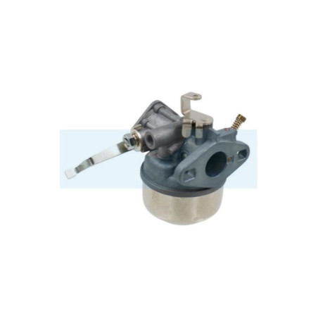 Carburateur pour moteur Robin (1066251600)