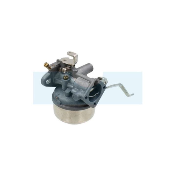 Carburateur pour moteur Robin (1066251600)