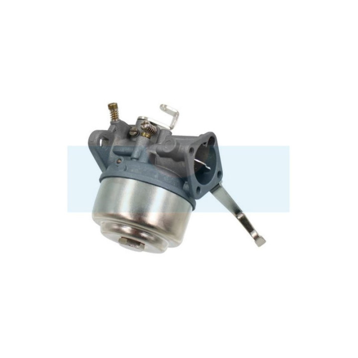 Carburateur pour moteur Robin (1066251600)