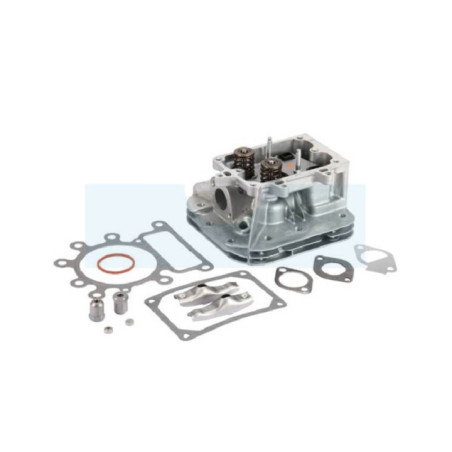 Culasse pour moteur Briggs & Stratton (796183)