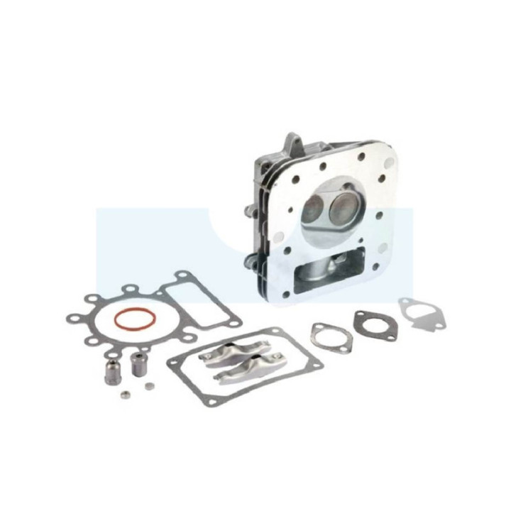 Culasse pour moteur Briggs & Stratton (796183)