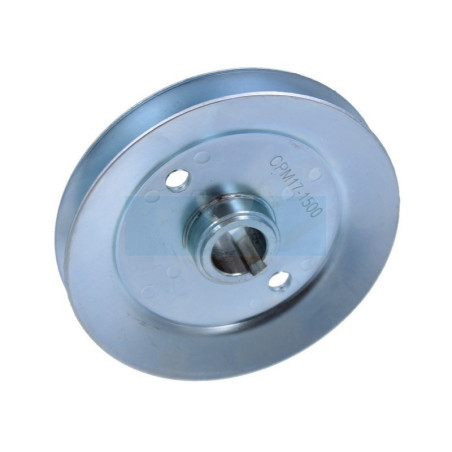 Poulie claveté pour tracteur tondeuse Atco (256015630)