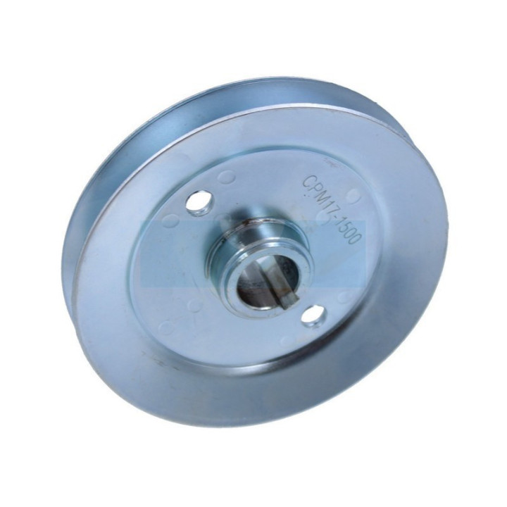 Poulie claveté pour tracteur tondeuse Bestgreen (256015630)