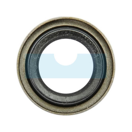 Joint spi pour Agria (W09304)