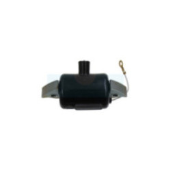 Bobine d'allumage pour moteur JLO (00043055700)