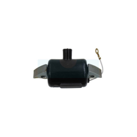 Bobine d'allumage pour moteur JLO (00043055700)