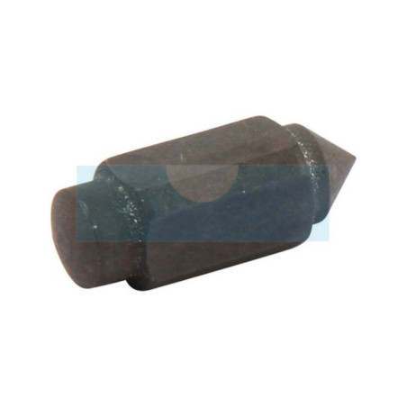 Pointeau de flotteur pour Agria (W02797)