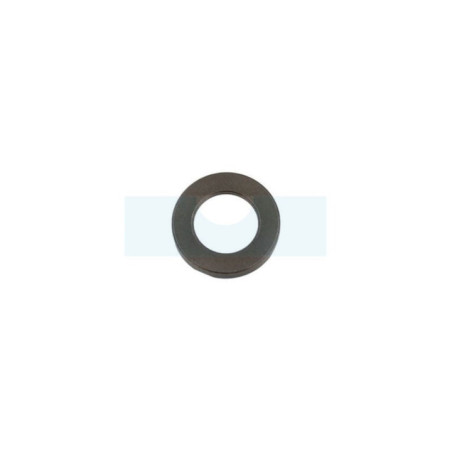 Rondelle de vilebrequin pour débroussailleuse Echo (V307000060)