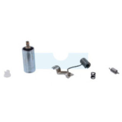 Kit rupteur et condensateur pour moteur Briggs & Stratton (294628)