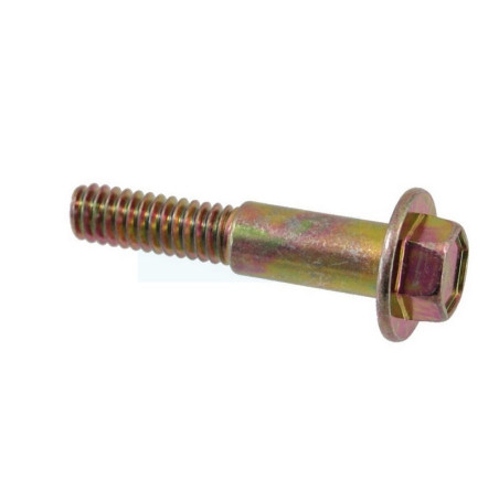 Kit de 2 vis pour moteur demarreur 36914 / 37425 Tecumseh (36914)