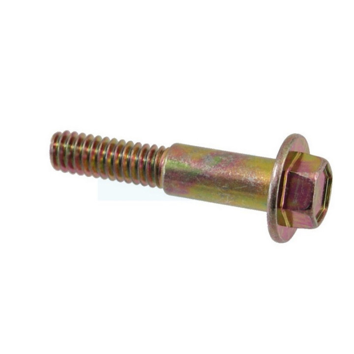 Kit de 2 vis pour moteur demarreur 36914 / 37425 Tecumseh (36914)