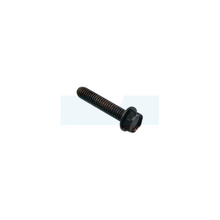 Vis pour moteur Briggs & Stratton (690352)