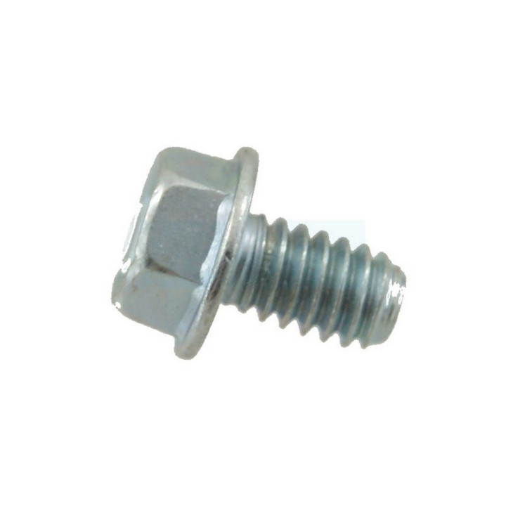 Boulon pour moteur Briggs & Stratton (692198)