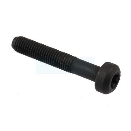 Boulon de bielle pour moteur Briggs & Stratton (791118)