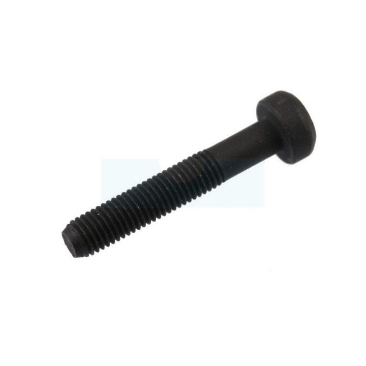 Boulon de bielle pour moteur Briggs & Stratton (791118)