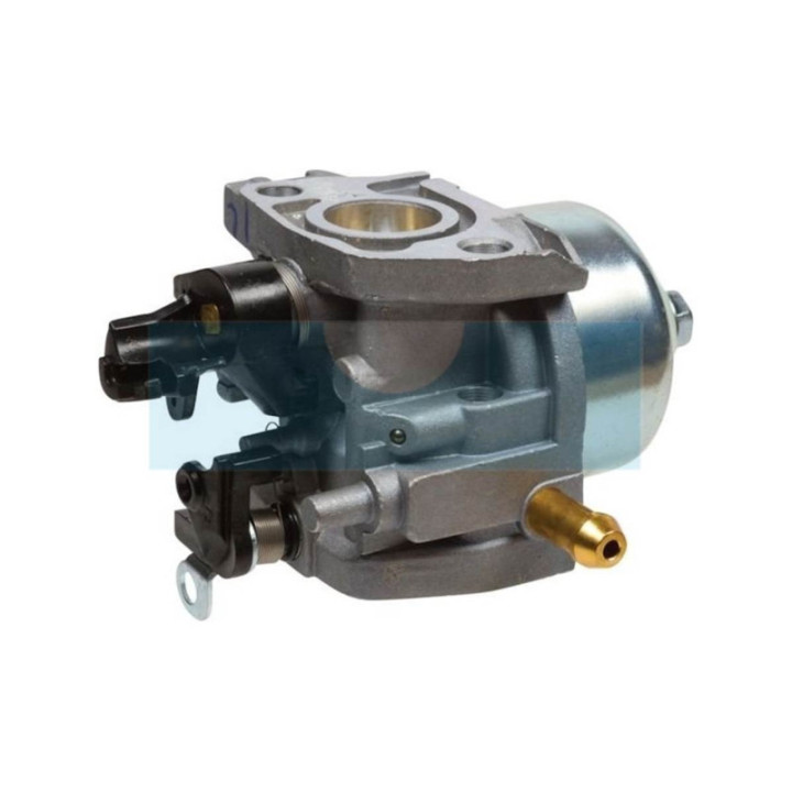Carburateur pour Alko (411907)