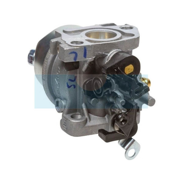 Carburateur pour Alko (411907)