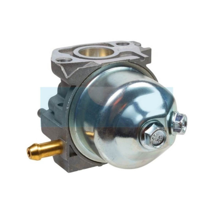 Carburateur pour Alko (411907)