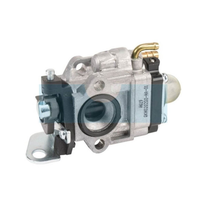 Carburateur pour Alko (412255)