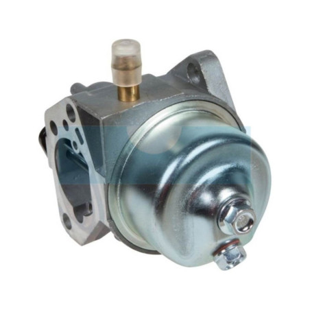 Carburateur pour Alko (455229)