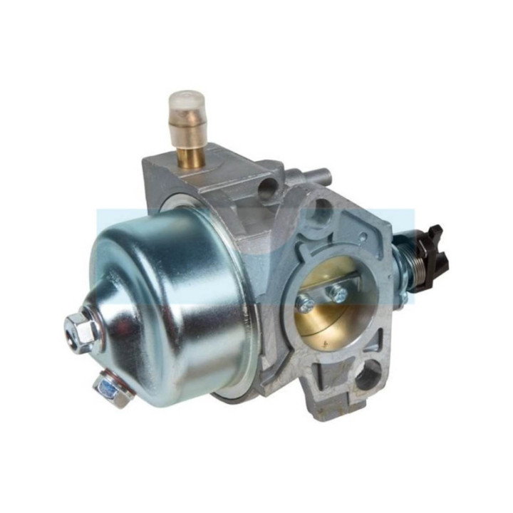 Carburateur pour Alko (455229)