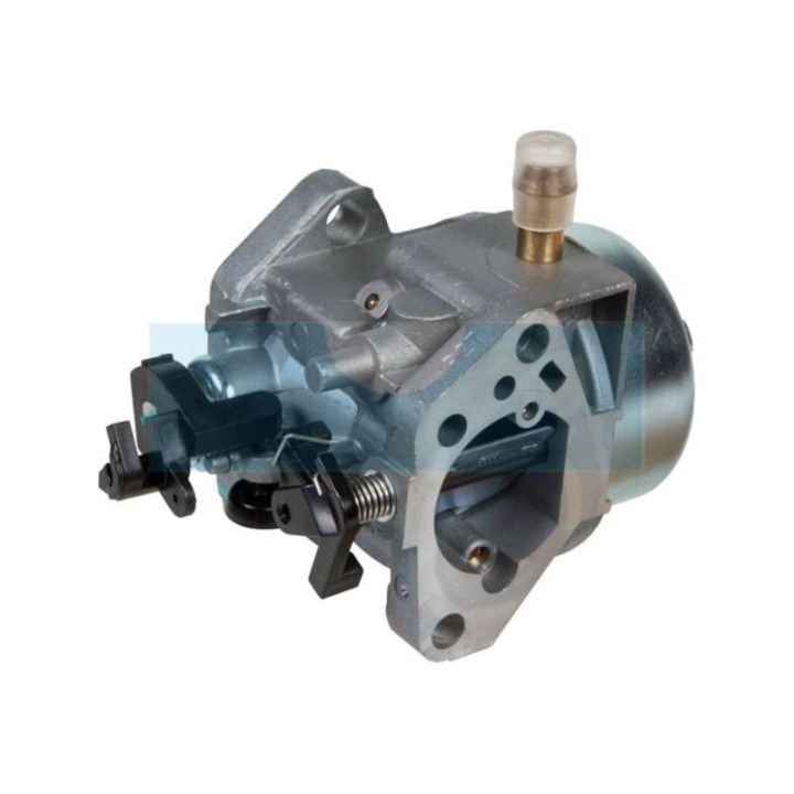 Carburateur pour Alko (455229)