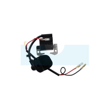 Bobine d'allumage pour moteur Robin (5417023020)