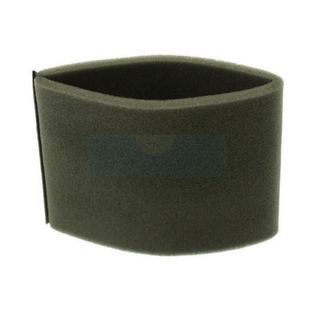 Filtre à air pour moteur Briggs & Stratton (798911)