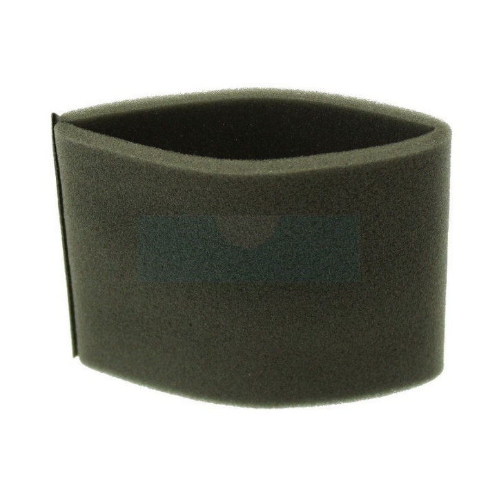 Filtre à air pour moteur Briggs & Stratton (798911)