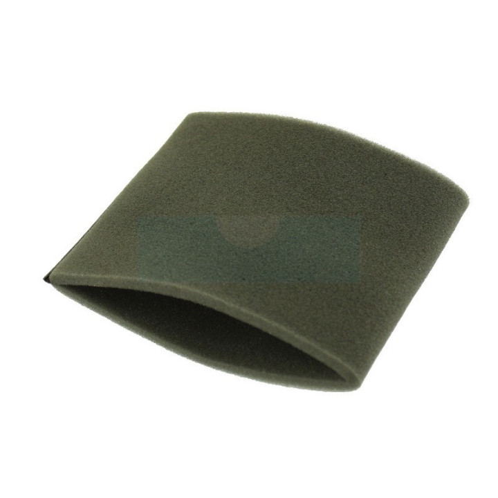 Filtre à air pour moteur Briggs & Stratton (798911)