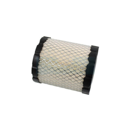 Filtre à air pour moteur Briggs & Stratton (794935)