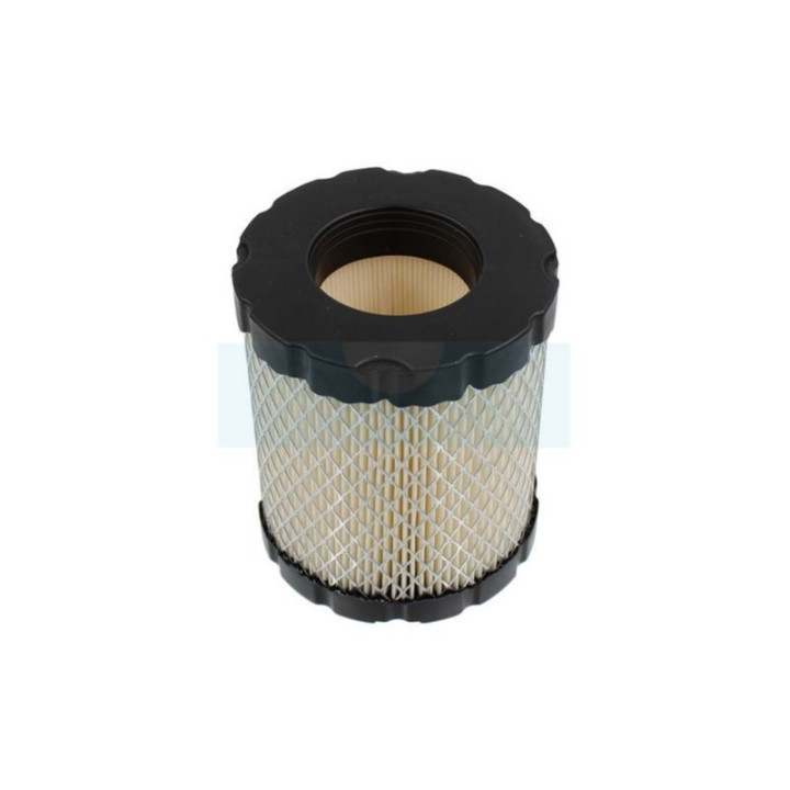 Filtre à air pour moteur Briggs & Stratton (794935)