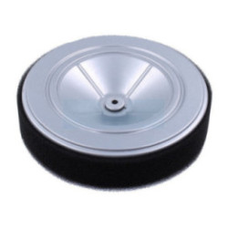 Filtre à air pour moteur Honda (17210Z6L000)