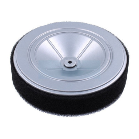 Filtre à air pour moteur Honda (17210Z6L000)