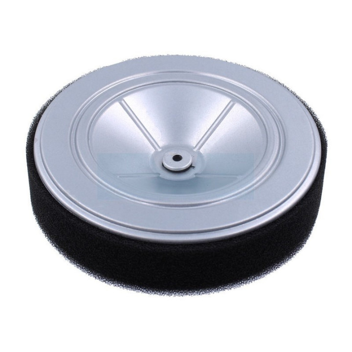 Filtre à air pour moteur Honda (17210Z6L000)