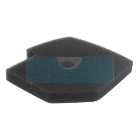 Filtre à air pour moteur Kawasaki (110130711)