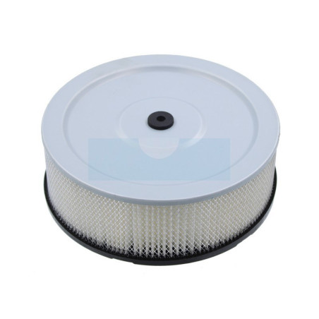 Filtre à air pour moteur Robin (21527200)