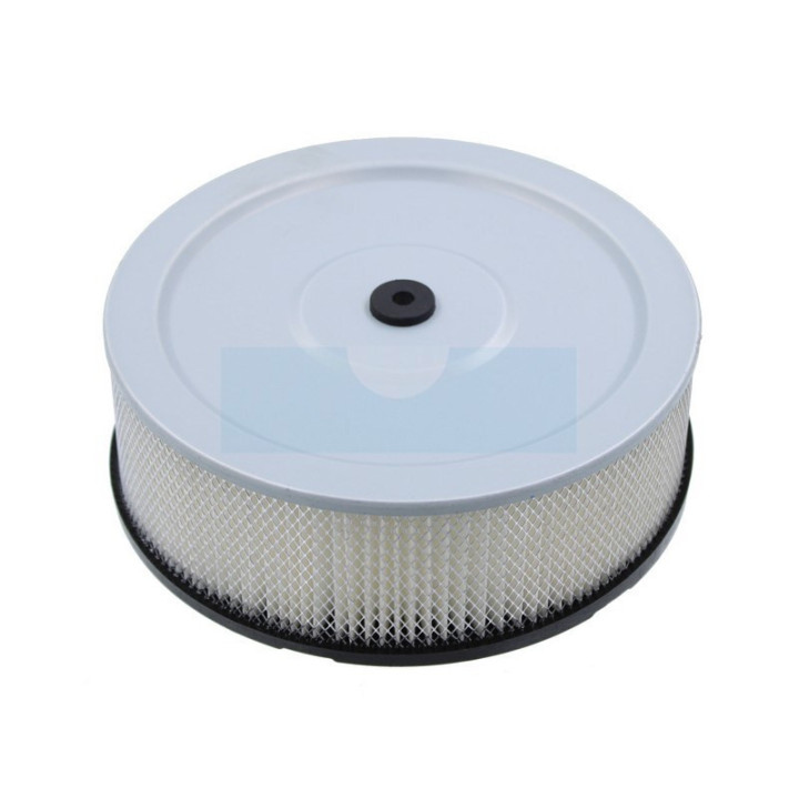Filtre à air pour moteur Robin (21527200)