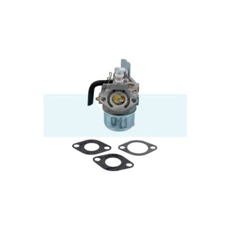 Carburateur pour moteur Robin (2526245410)