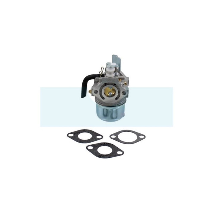 Carburateur pour moteur Robin (2526245410)