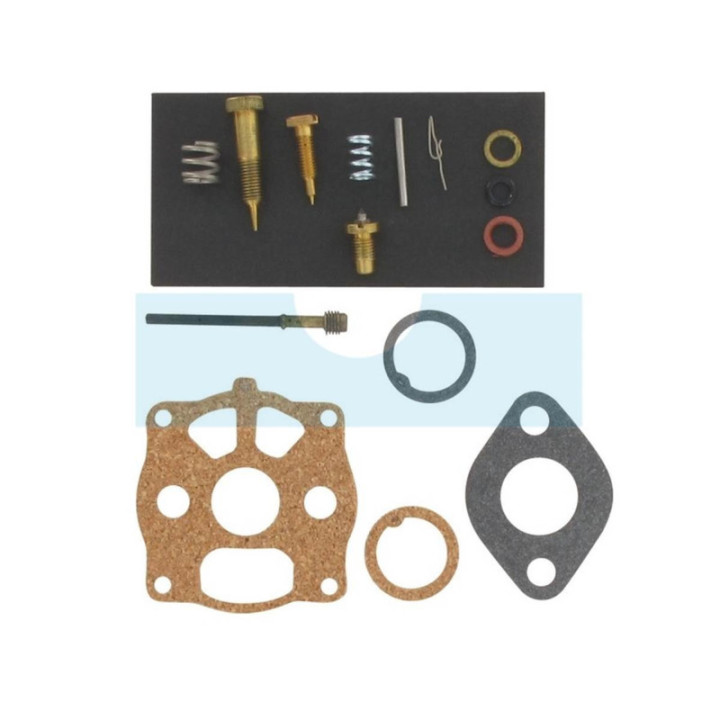Kit réparation carburateur pour moteur Briggs & Stratton (398992)