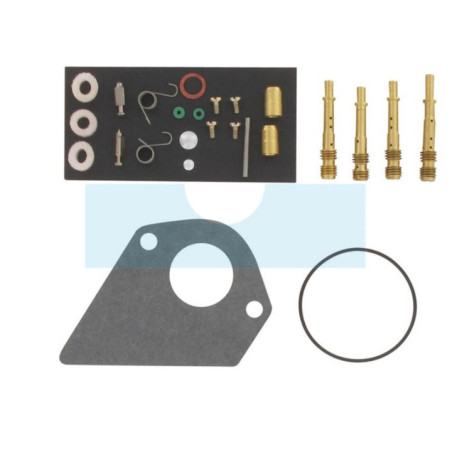 Kit réparation carburateur pour moteur Briggs & Stratton (497535)