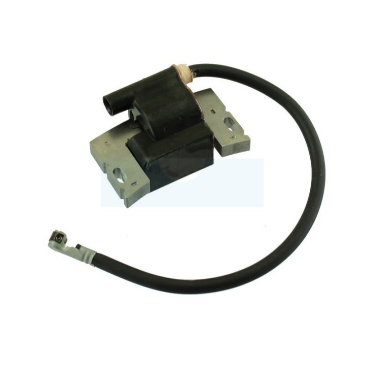 Bobine d'allumage électronique pour moteur Briggs & Stratton (592846)