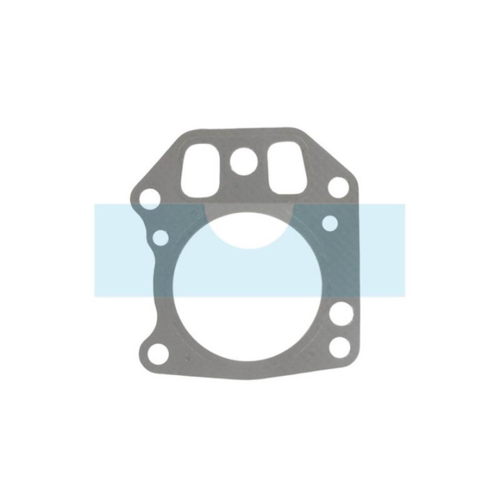 Joint de culasse pour moteur Briggs & Stratton (273240)