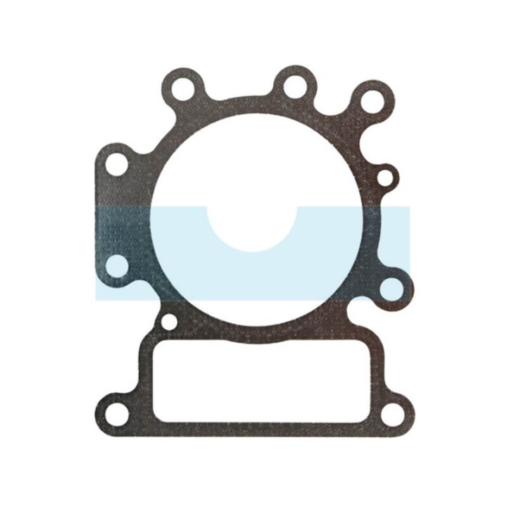 Joint de culasse pour moteur Briggs & Stratton (796584)