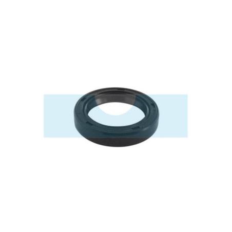 Joint spi pour moteur Briggs & Stratton (805101S)