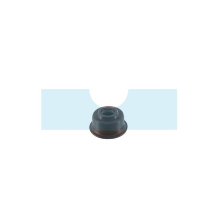 Joint de queue de soupape pour moteur Robin (2371600801)